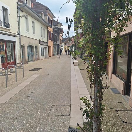 Chez Eric - L'Atypique Rumilly (Haute-Savoie) Exterior foto