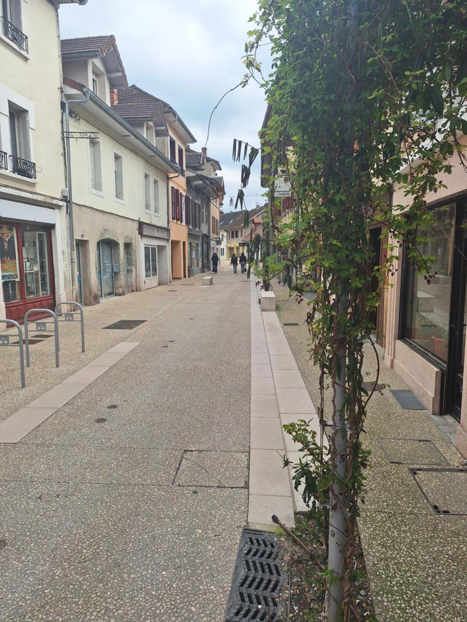 Chez Eric - L'Atypique Rumilly (Haute-Savoie) Exterior foto